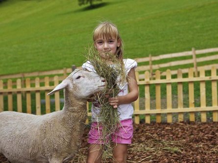 familien feriendorf kirchleitn bad kleinkirchheim (6)