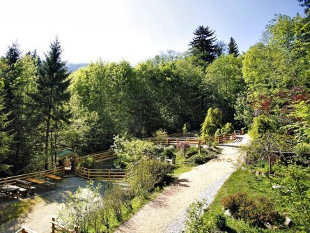 hotel kohlerof fugen (18)