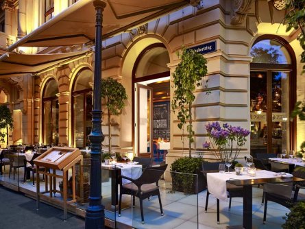 the ritz carlton hotel wenen (20)