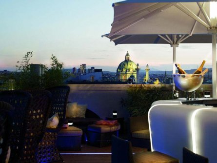 the ritz carlton hotel wenen (5)