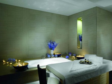 the ritz carlton hotel wenen (7)