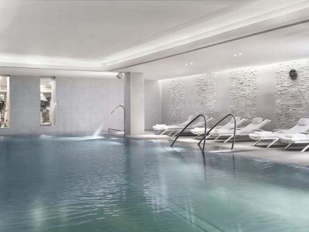 the ritz carlton hotel wenen (19)