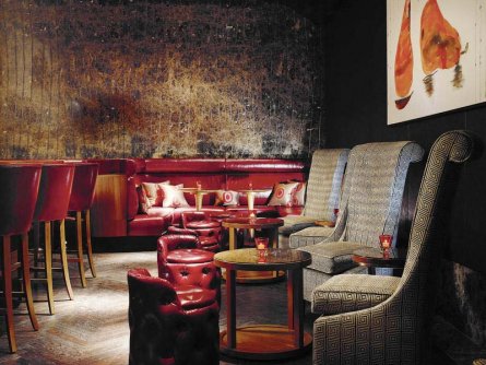 the ritz carlton hotel wenen (3)