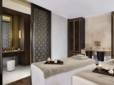 the ritz carlton hotel wenen (22)