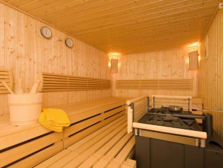 alpen gluck hotel kirchberger hof kirchberg in tirol (6)