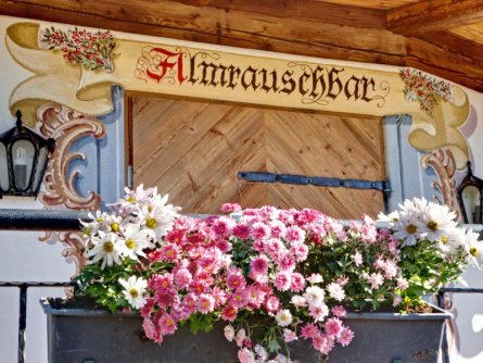 hotel kroneck kirchberg in tirol (21)