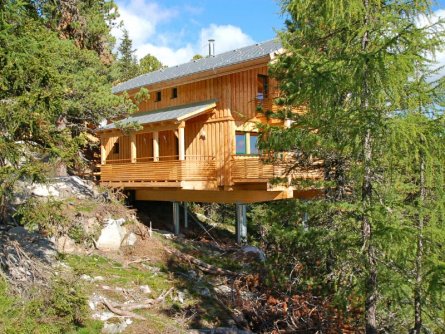 chalets alpenpark turrach (2)