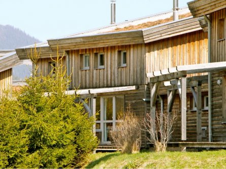 ferienhäuser hohentauern hohentauern (15)