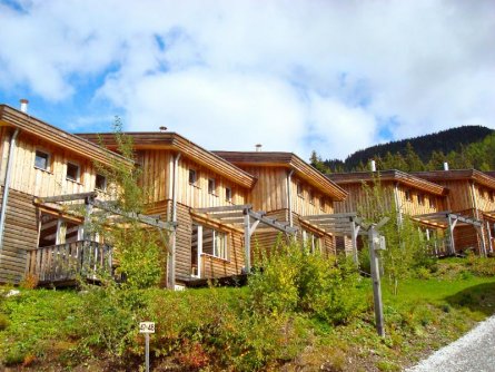 ferienhäuser hohentauern hohentauern (14)