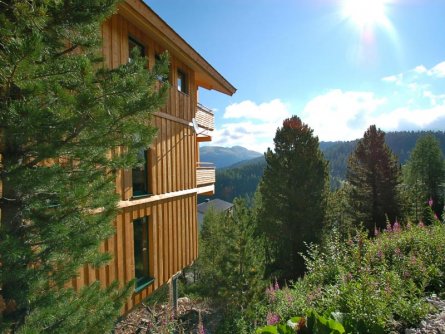 chalets alpenpark turrach (1)