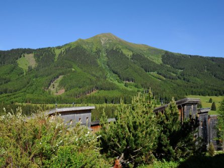 ferienhäuser hohentauern hohentauern (6)