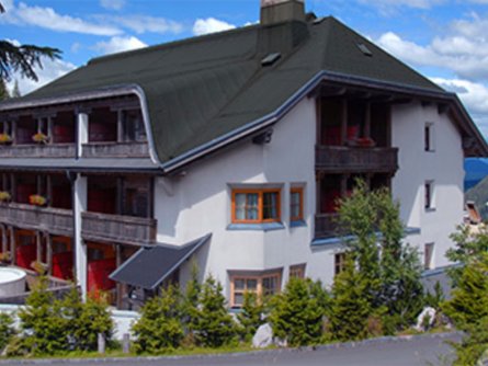 hotel berghof hermagor pressegger see (50)