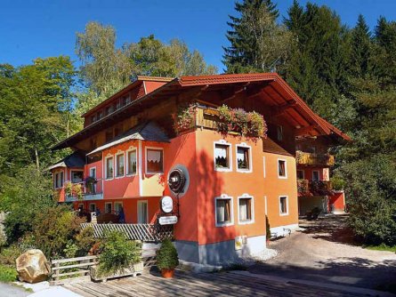 appartement pension stadlmuhle bruck an der grossglocknerstrasse (8)