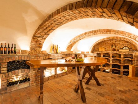 hotel der waldhof zell am see (8)