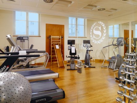 hotel sheraton salzburg salzburg (24)