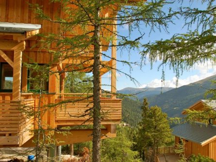 chalets alpenpark turrach (60)