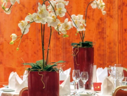 arcotel wimberger wenen (23)