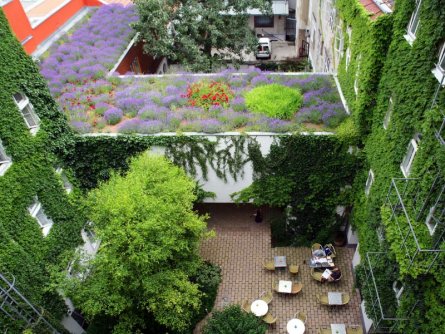 boutique hotel stadthalle wenen (6)