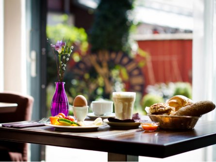 boutique hotel stadthalle wenen (2)