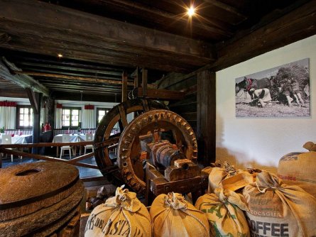 familienferiendorf kirchleitn bad kleinkirchheim (64)