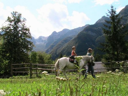 pristava lepena bovec (1)