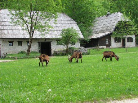 pristava lepena bovec (3)