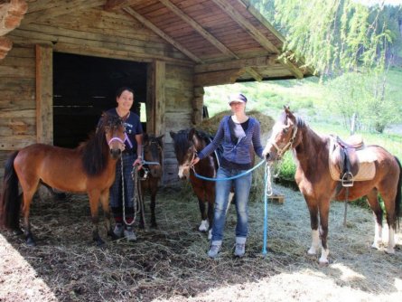 ponyboerderij trattlerhof bad kleinkirchheim