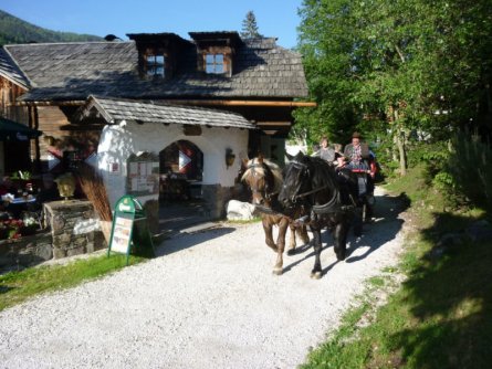paardenkoets trattlerhof bad kleinkirchheim
