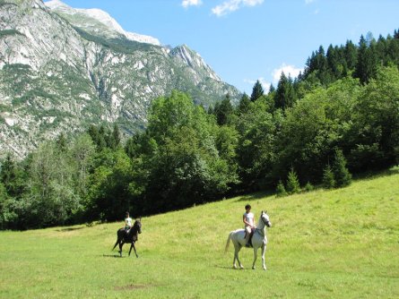 pristava lepena bovec slovenie (51)