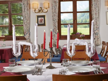 hotel plesnik villa palenk logarska dolina (2)