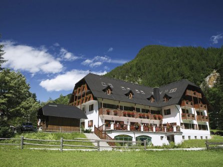 hotel plesnik villa palenk logarska dolina (11)