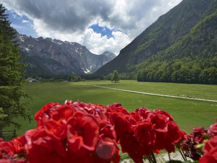 hotel plesnik villa palenk logarska dolina (4)