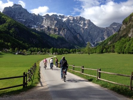 hotel plesnik villa palenk logarska dolina (19)