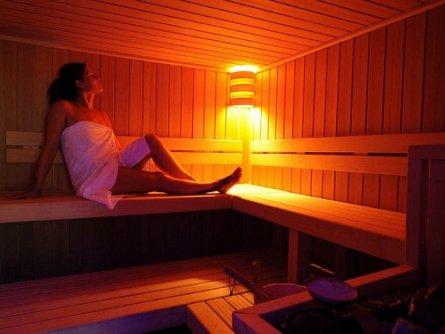 hotel alexander limone sul garda (11)