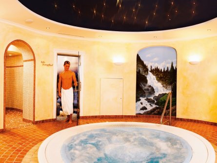 national park hotel klockerhaus krimml (8)