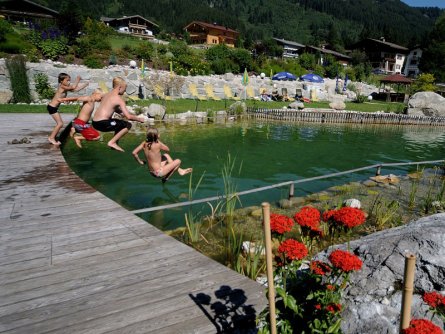 national park hotel klockerhaus krimml (14)