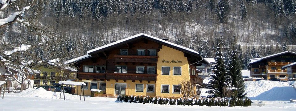 appartementen haus austria flachau (101)