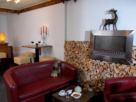 hotel ferienalm schladming (22)