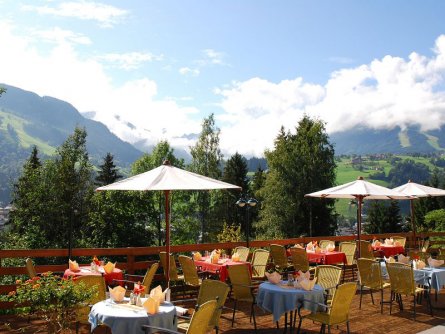 hotel ferienalm schladming (14)