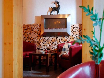 hotel ferienalm schladming (3)