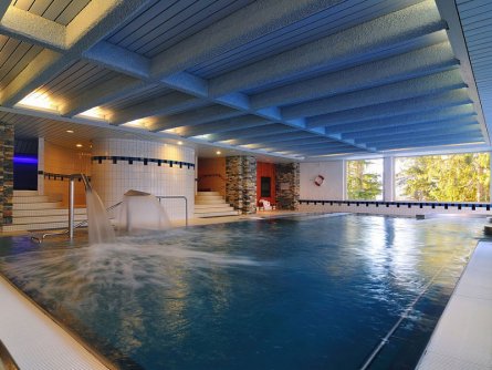 hotel valaisia crans montana wallis (14)