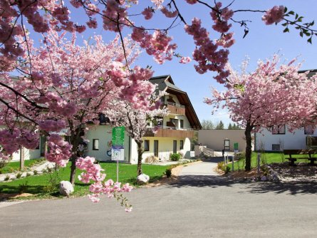 wahaha paradise resort feistritz im rosenthal (1)