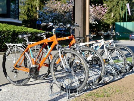 hotel ribno bled veldes vakantie slovenie julische alpen (17)