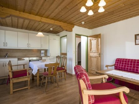haus carolin westendorf tirol vakantie oostenrijk oostenrijkse alpen (18)
