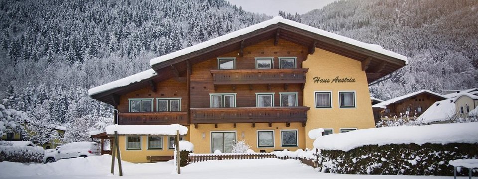 haus austria flachau salzburgerland (2)