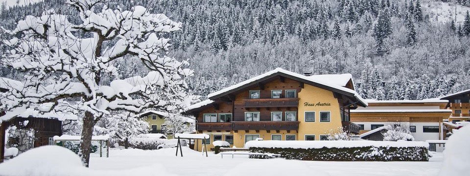 haus austria flachau salzburgerland (1)