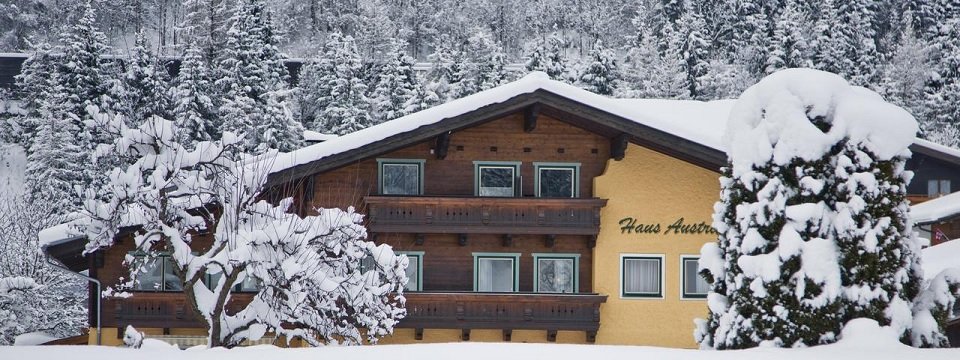 haus austria flachau salzburgerland (4)
