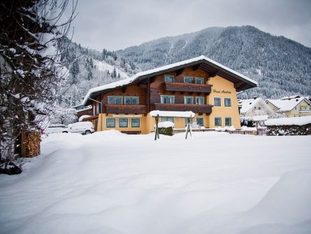 haus austria flachau salzburgerland (60)