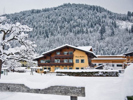 haus austria flachau salzburgerland (61)