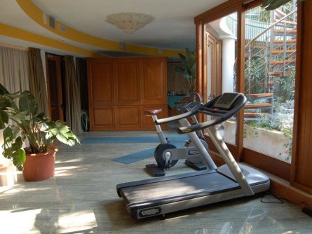 hotel alexander limone sul garda gardameer (3)